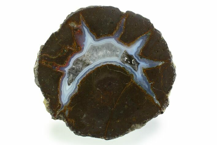 Colorful Polished Thunderegg Half - Nevada #337769